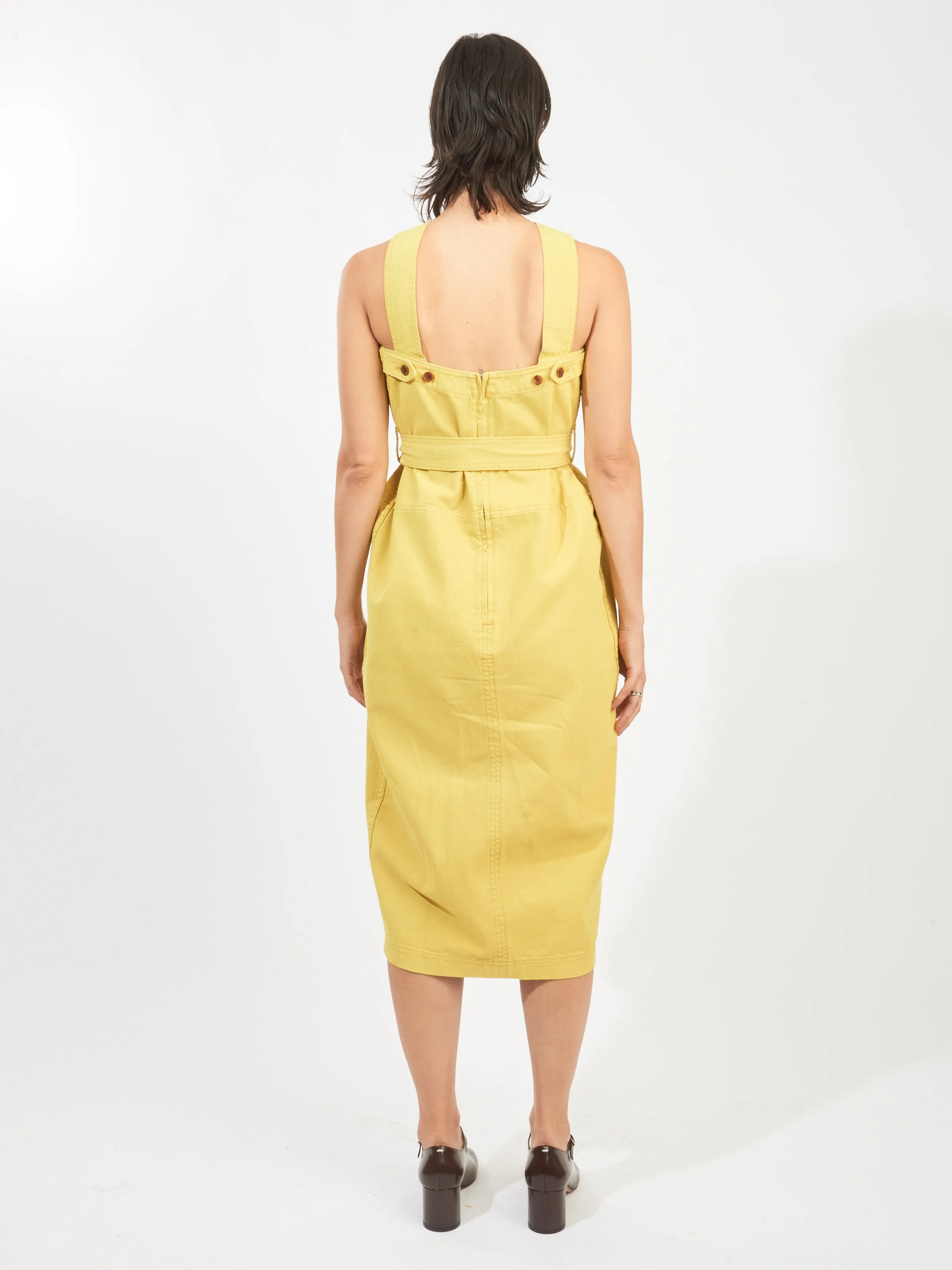 Citron Delanta Dress