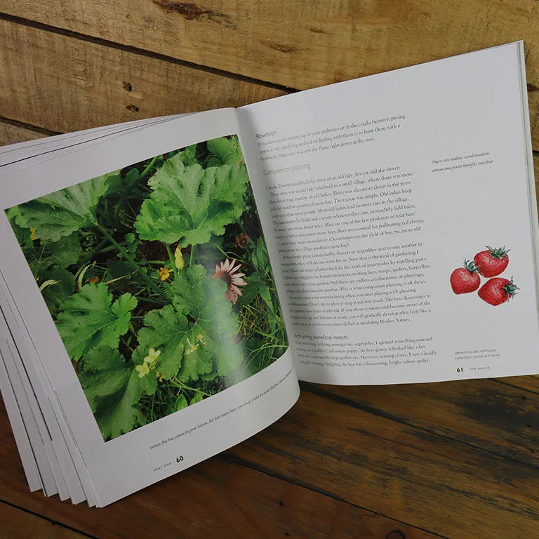 Jane's Delicious Garden