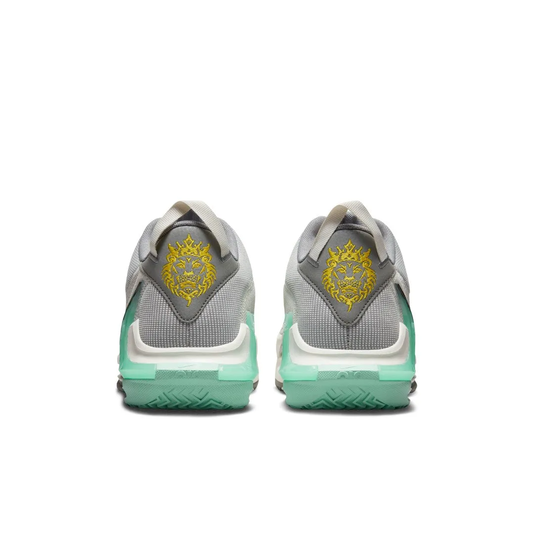 Lebron Witness Basketball Shoes