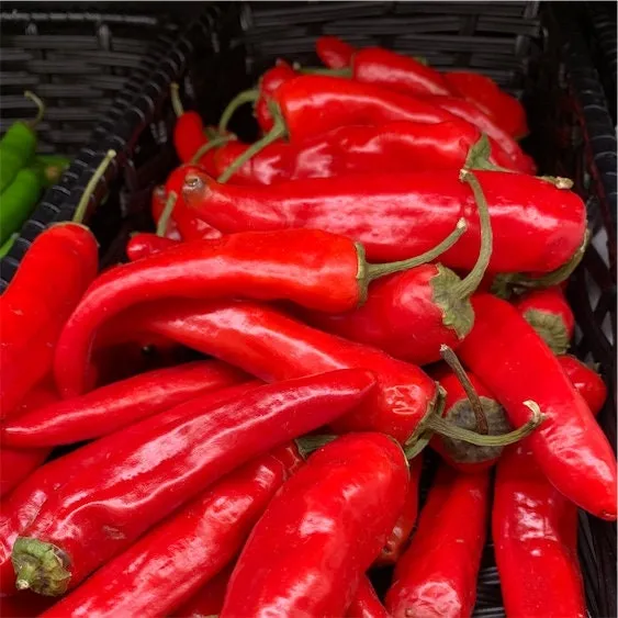 Organic Heirloom Cayenne Long Slim Pepper Seeds
